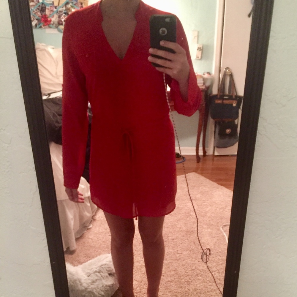 Naked Zebra red dress